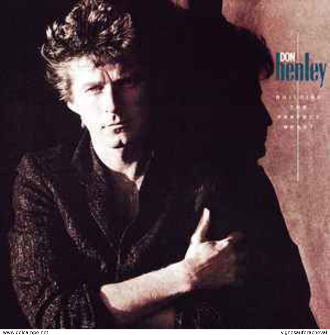 Don Henley- Building The Perfect Beats - Jazz