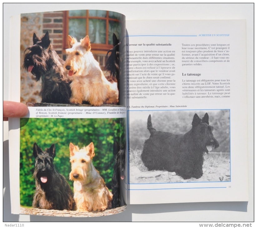 CHIEN : Le SCOTTISH TERRIER - Dr Michel Bolzinger, Editions De Vecchi 1995 - Tiere