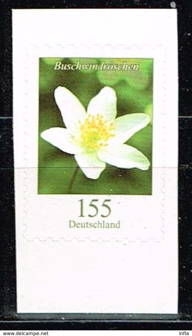 Bund 2019,Michel# 3484 O Blumen: Buschwindröschen Selbstklebend Vom Folienblatt - Unused Stamps