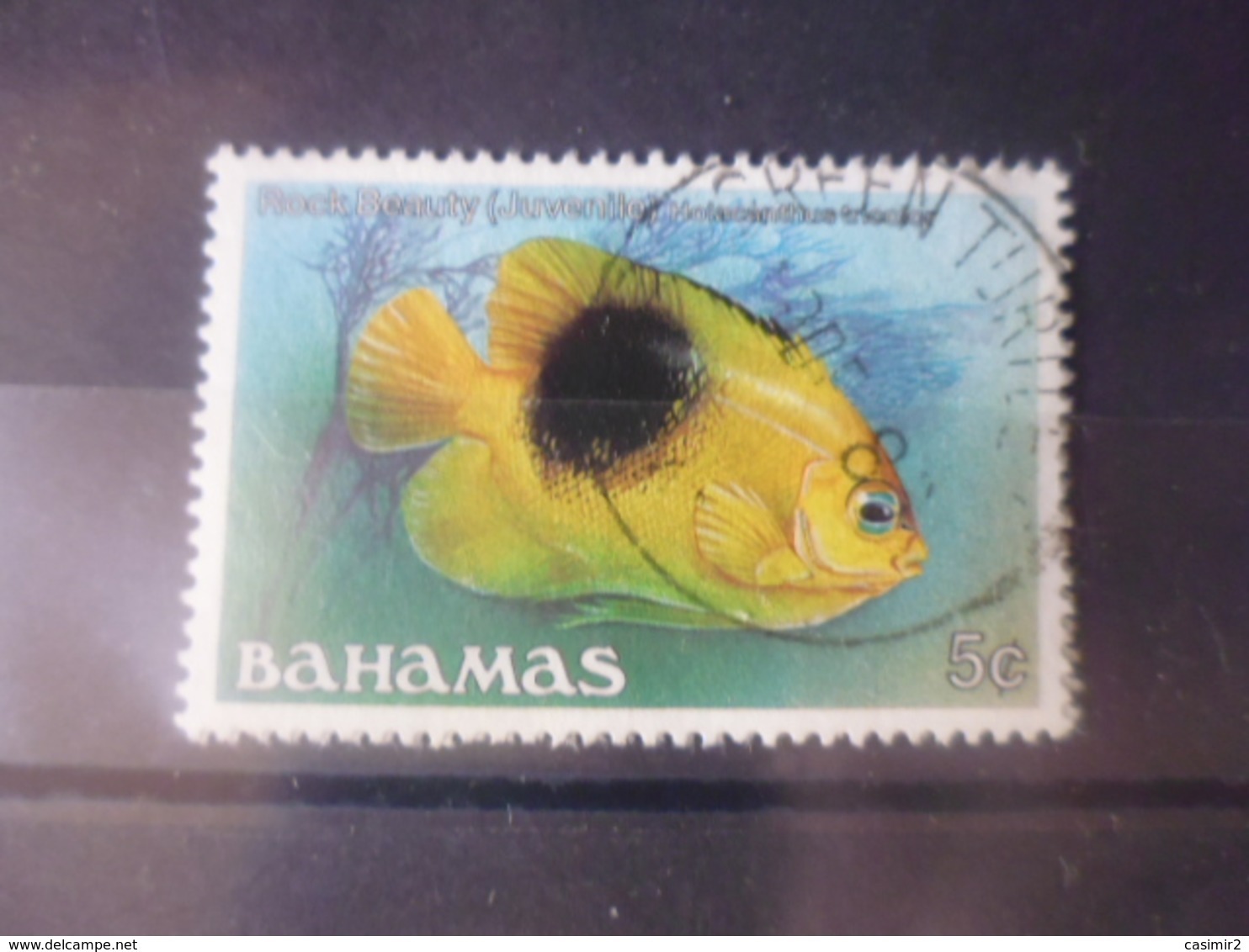 BAHAMAS  YVERT N° 602 - Bahamas (1973-...)