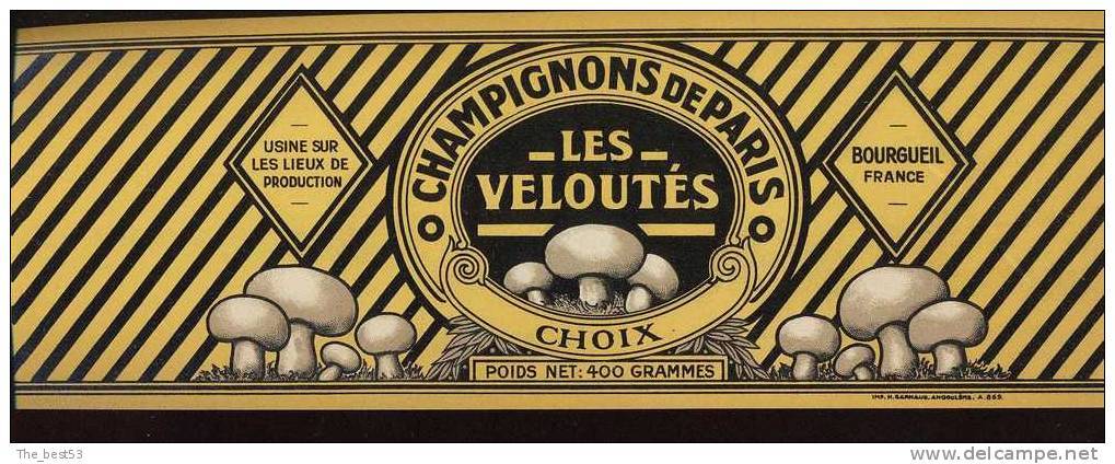 Etiquette Boite De Conserve - Champignons De Paris Les Veloutés - Arnoult Père Et Fils à Bourgueil (37) - 30 X 11 Cm - Fruits Et Légumes