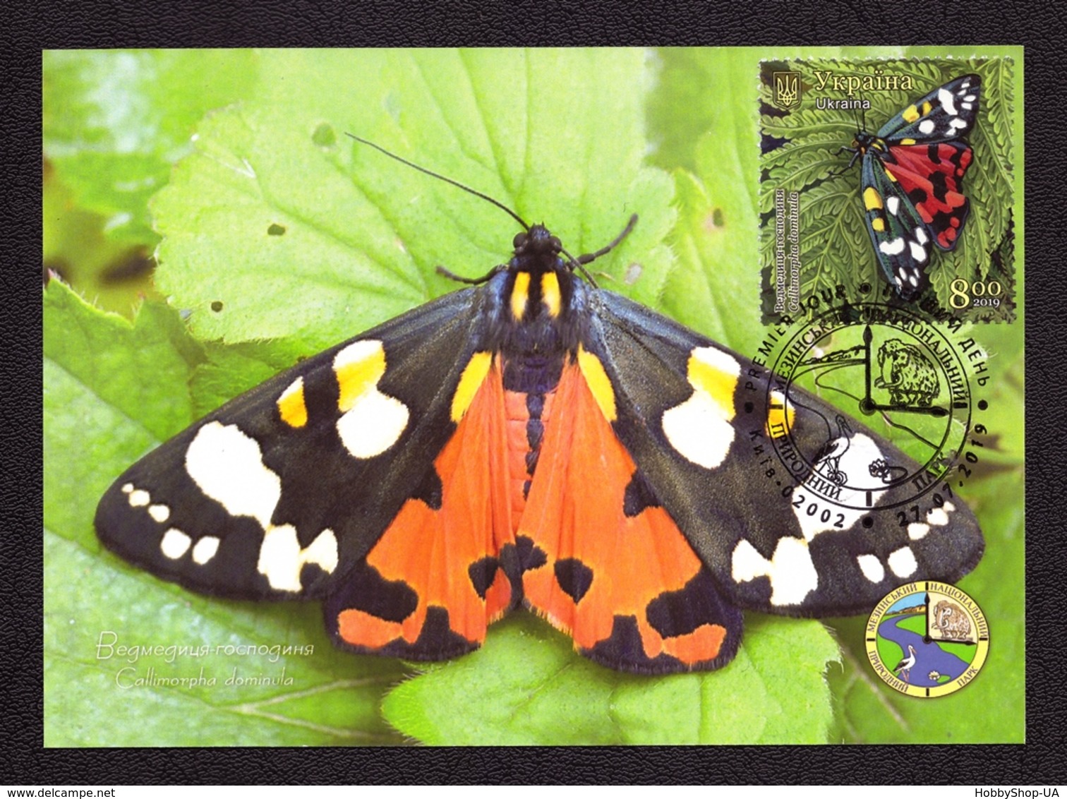 Ukraine 2019 Set MAXI MAXIMUM CARDs Mezyn National Nature Park Animals Birds Wolf Butterfly Cuckoo Roedeer #853