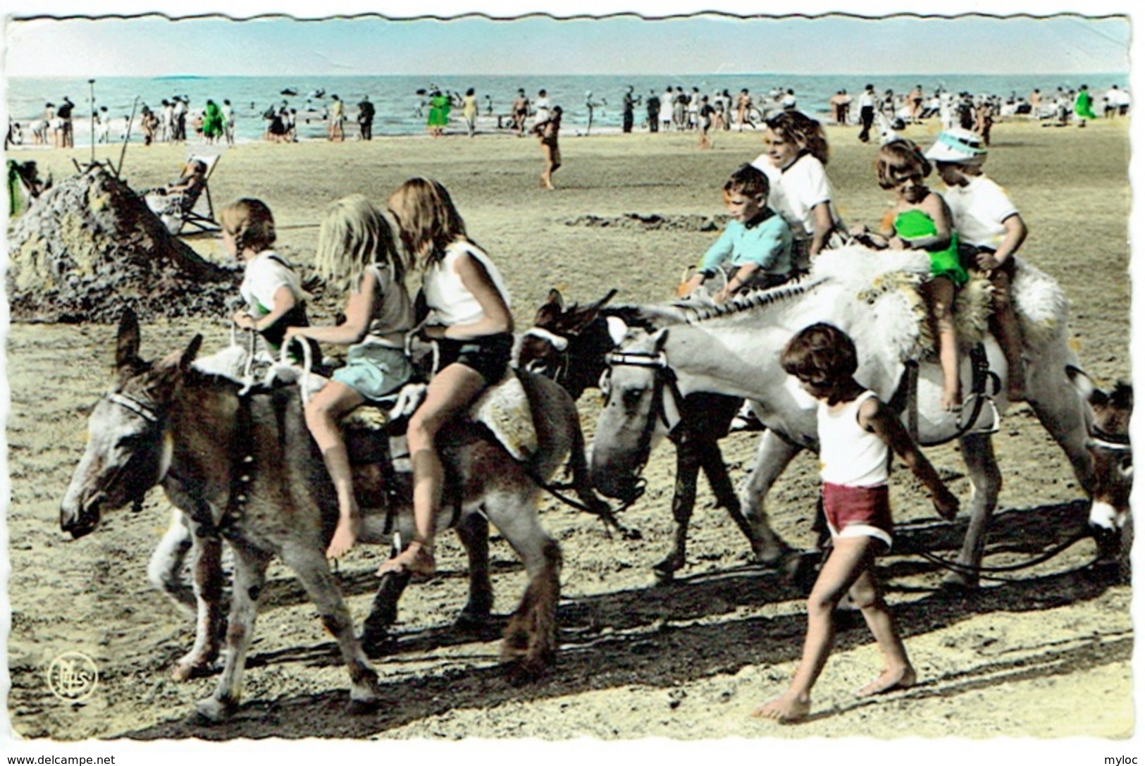 Mer Du Nord. Noordzee. Promenade à Dos D'âne. Ezeltje Rijden. - Autres & Non Classés