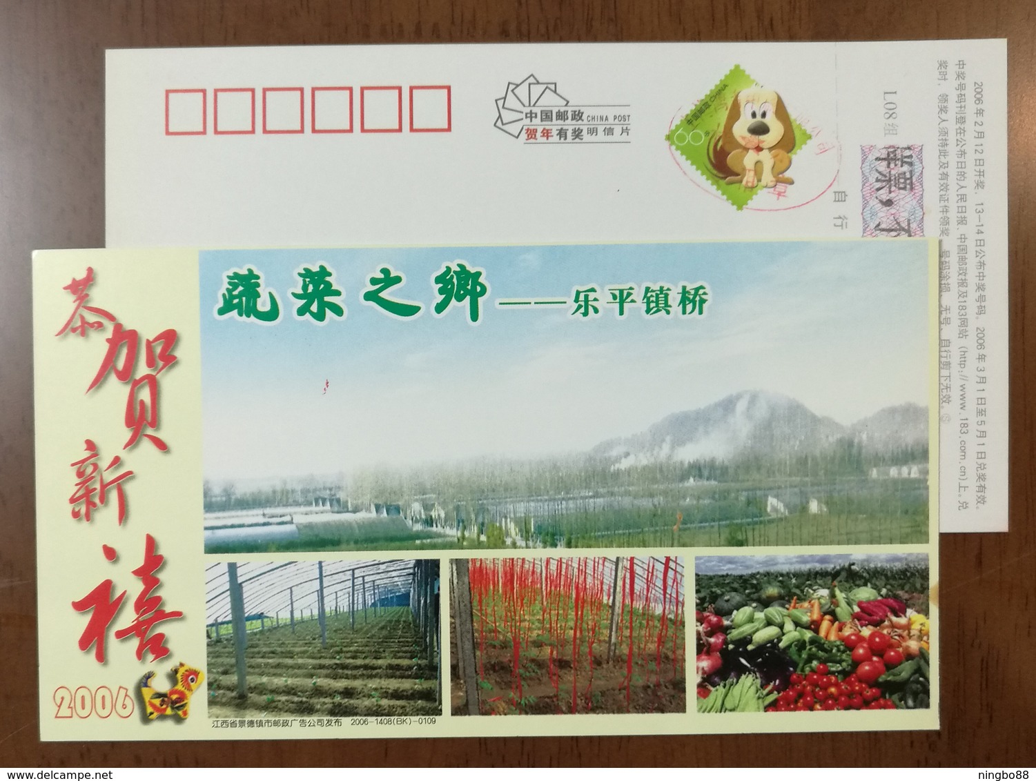 Greenhouse Fruit And Vegetable,CN 06 Leping Zhenqiao Hometown Of Vegetable Advert Pre-stamped Card,specimen Overprinted - Groenten