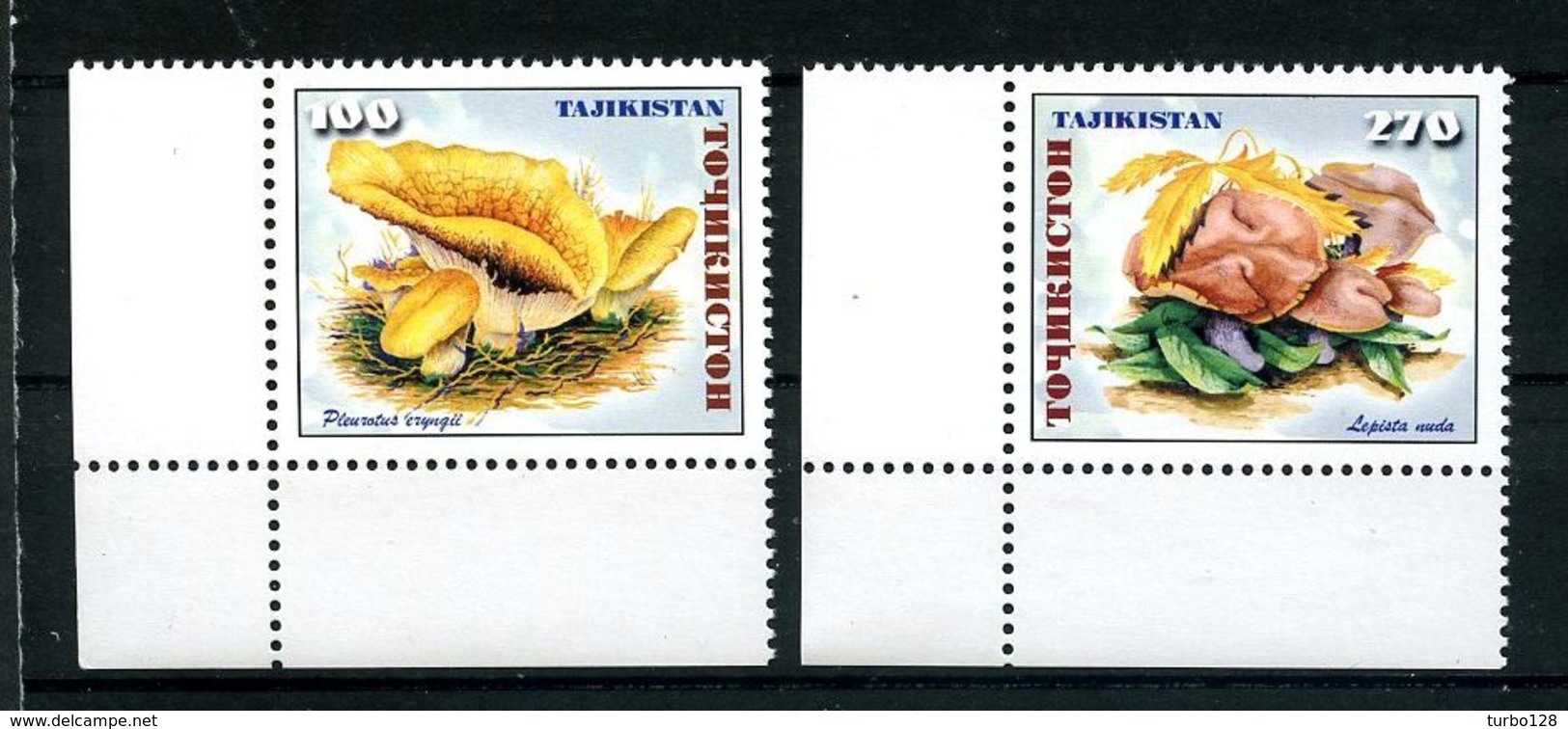 TADJIKISTAN 1999 N° 128/129 ** Neufs MNH  Superbes C 3 €  Flore Champignons Mushrooms Lepista - Tajikistan