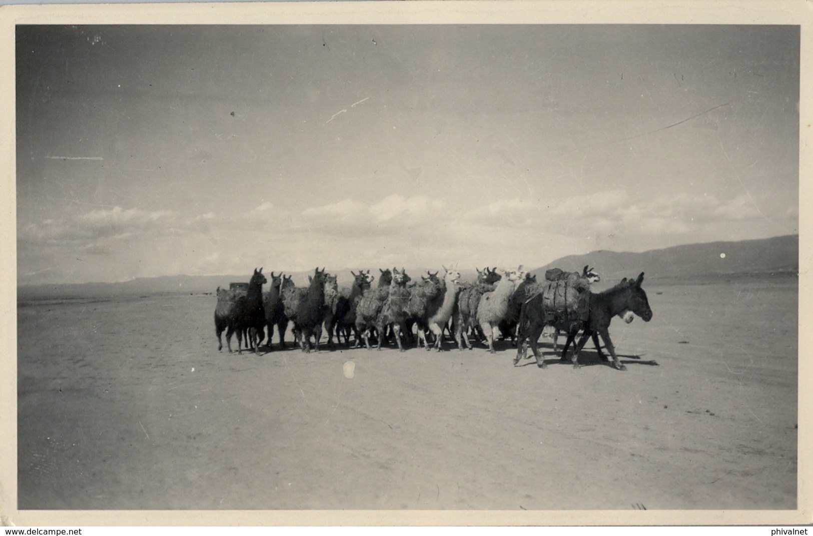 1935  BOLIVIA , TARJETA POSTAL CIRCULADA , ORURO - HAMBURGO , CARAVANA DE LLAMAS - Bolivia