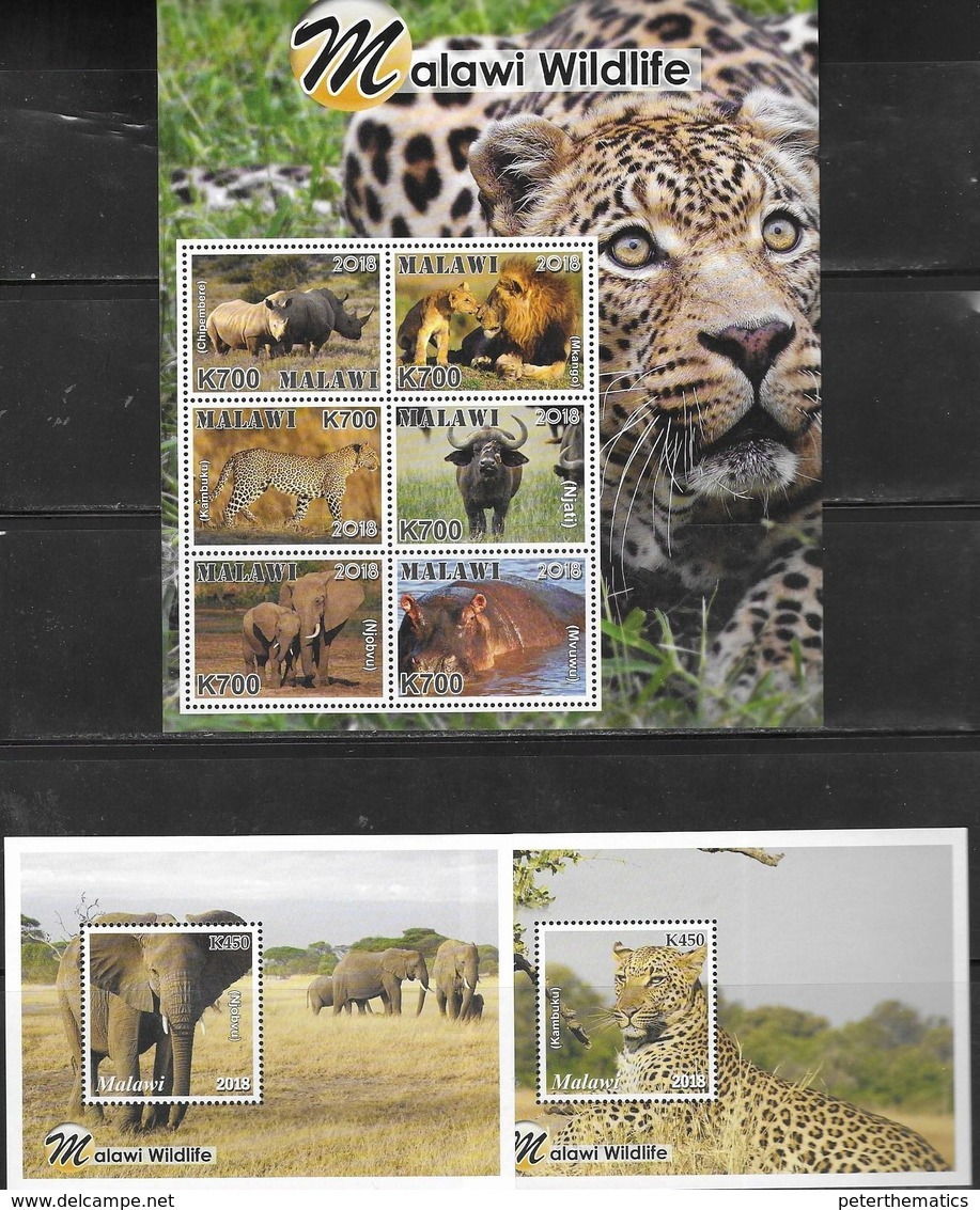 MALAWI , 2019, MNH,  MALAWI WILDLIFE, LIONS, RHINOS, ELEPHANTS, LEOPARDS, BUFFALO, HIPPOS, SHEETLET + 6 S/SHEETS - Big Cats (cats Of Prey)