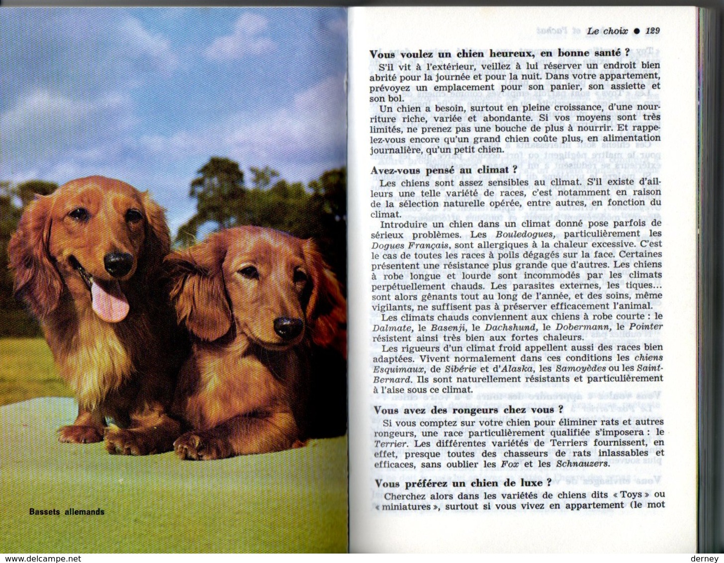 LE GUIDE MARABOUT DES CHIENS - Animaux