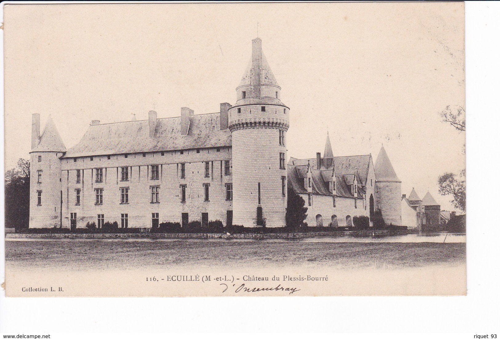 116 - ECUILLE - Le Château Du Plessis-Bourré - Andere & Zonder Classificatie