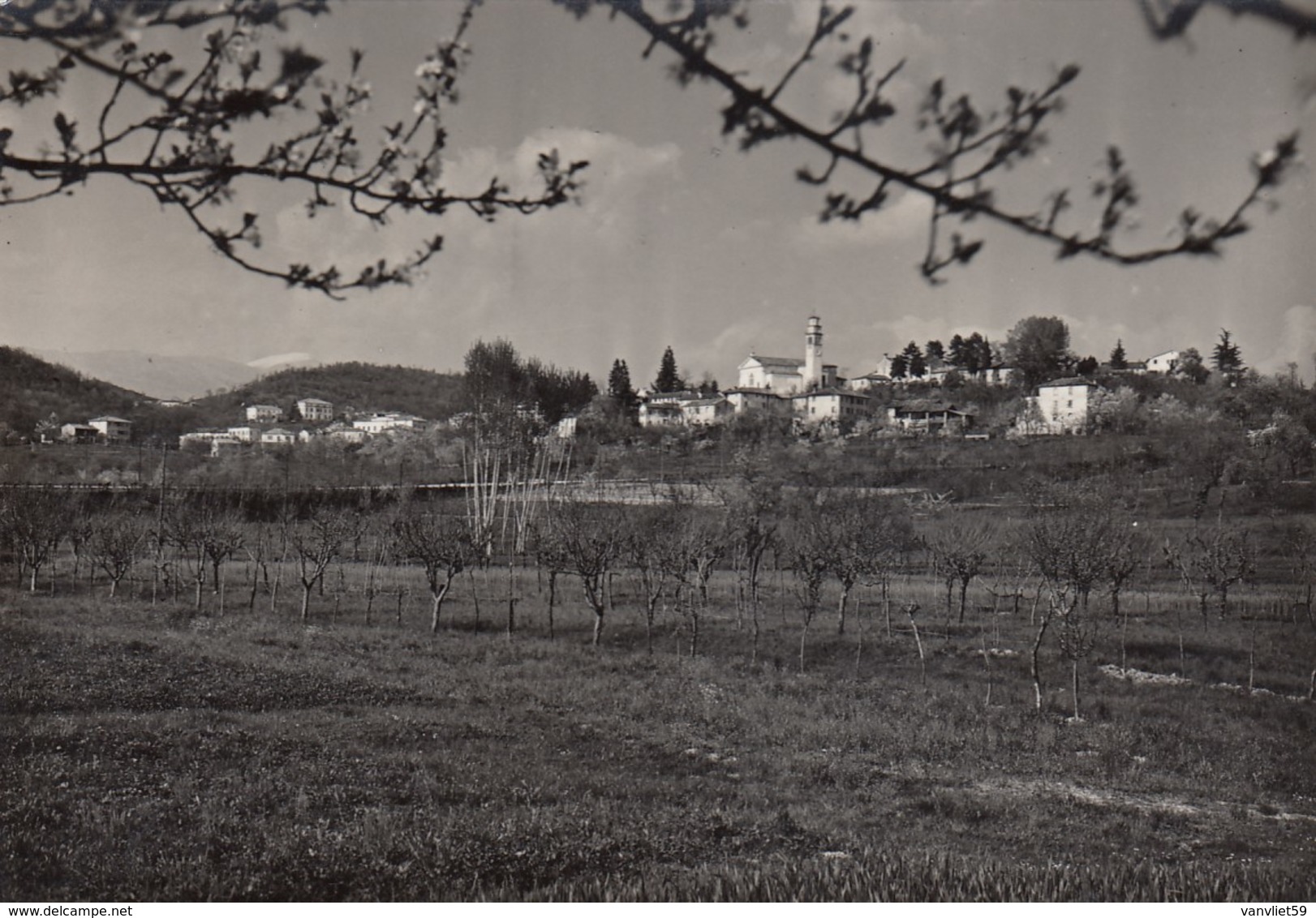 REFRONTOLO-TREVISO-CARTOLINA VERA FOTOGRAFIA-VIAGGIATA IL 5-9-1955 - Treviso