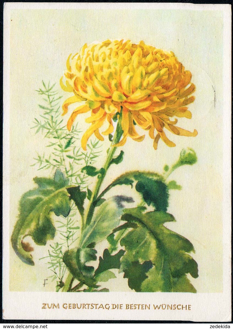 6210 - Glückwunschkarte - Blumen - Künstlerkarte - Verlag Reichenbach - Blumen