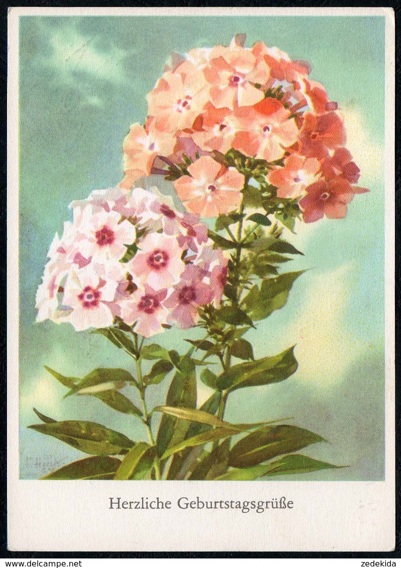 A5930 - Glückwunschkarte Geburtstag - Blumen - Künstlerkarte DDR - Verlag Reichenbach - Blumen