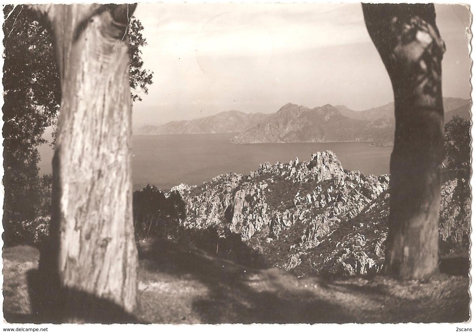 Dépt 20 - PIANA - Calanches De Piana - Vue Sur Le Golfe De Porto - (CPSM 10,4 X 15 Cm) - Corse - Andere & Zonder Classificatie