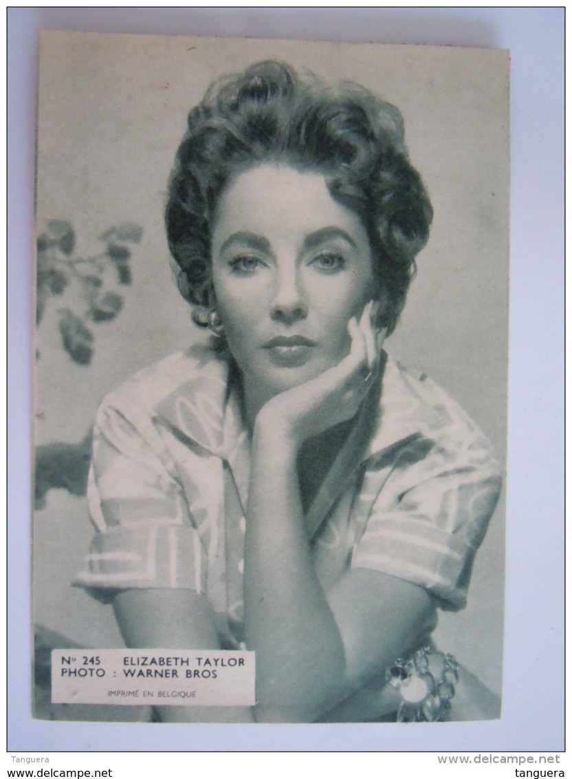 245 Elisabeth Taylor Photo Foto Vintage Cinema Flyer Belge Torhout - Foto's