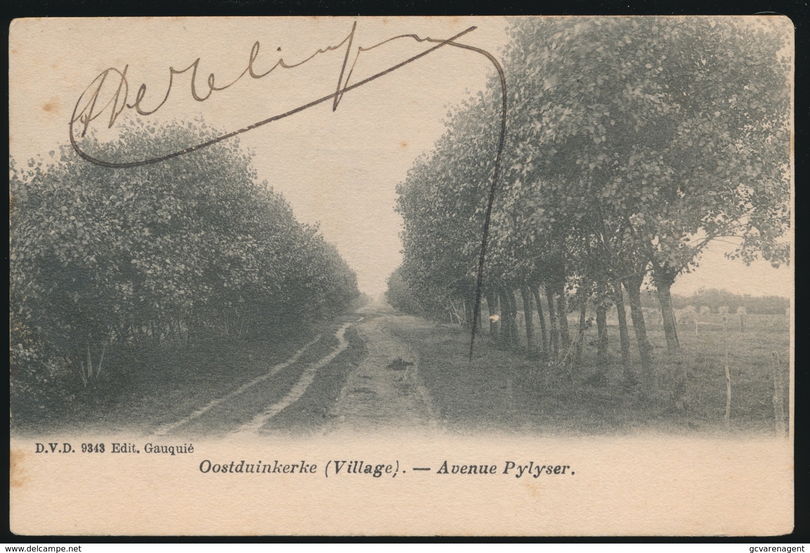 OOSTDUINKERKE   AVENUE PYLYSER - Oostduinkerke