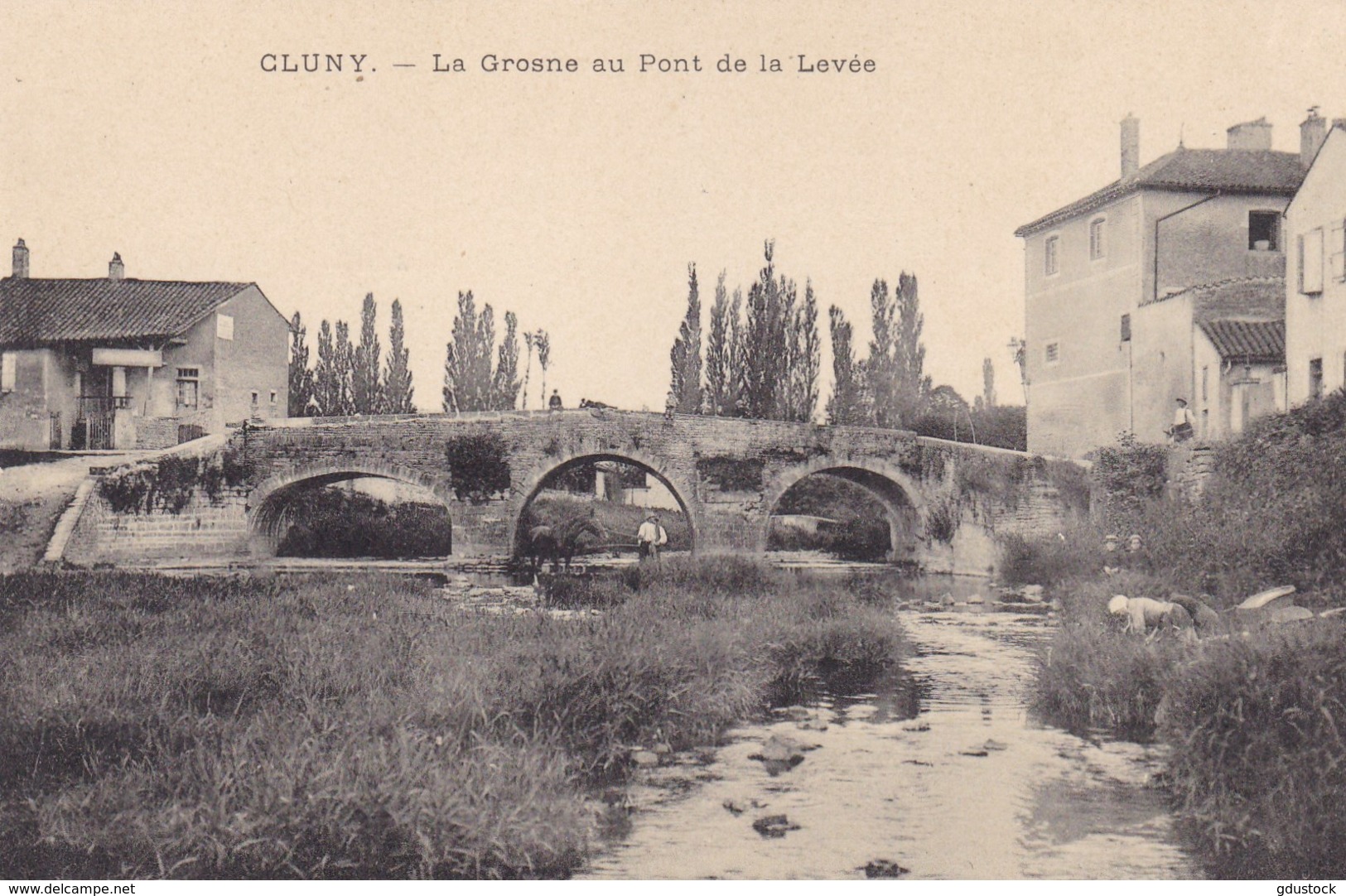 Saône-et-Loire - Cluny - La Grosne Au Pont De La Levée - Cluny