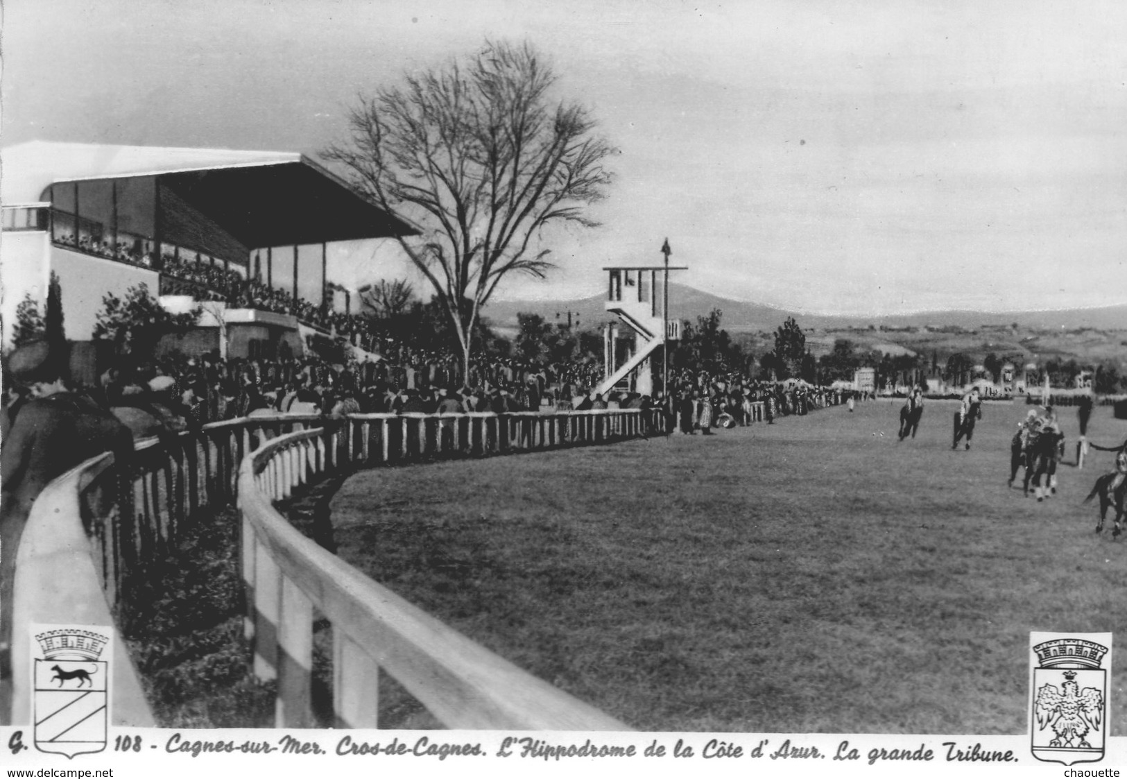 Hippodrome De Cagnes Sur Mer...edit Larcan - Reitsport