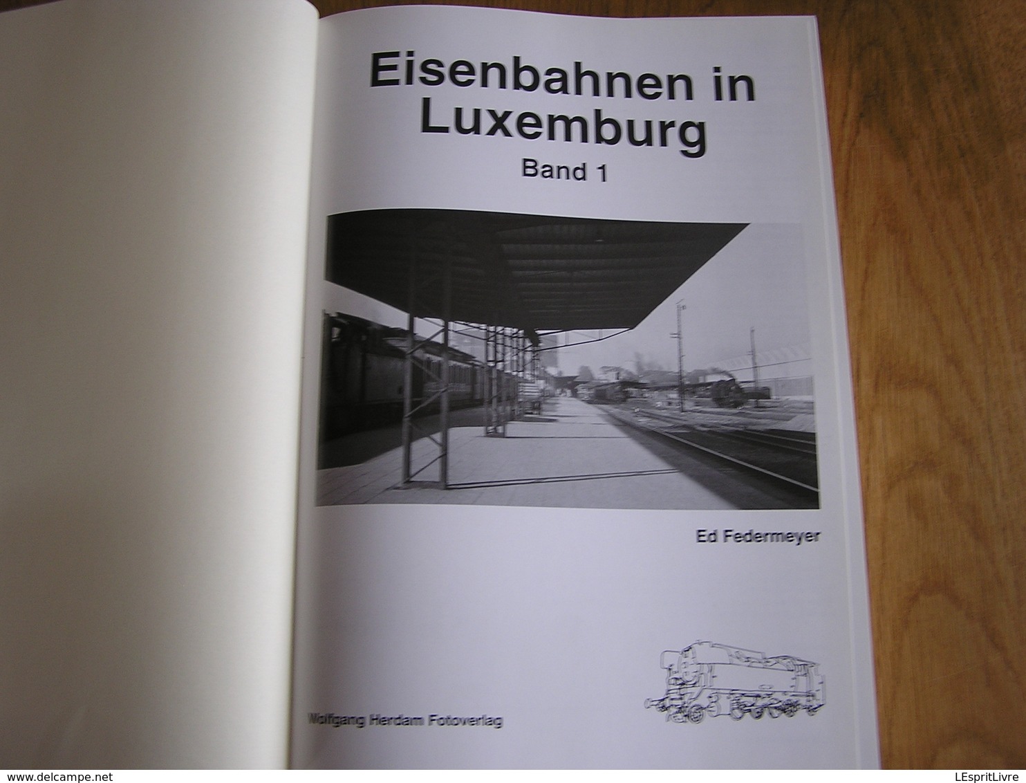 EISENBAHNEN IN LUXEMBURG Band 1 Chemins De Fer Luxembourg Train CFL Gare Pétange Esch Diekirch Wiltz Echternach Rodigen - Andere & Zonder Classificatie