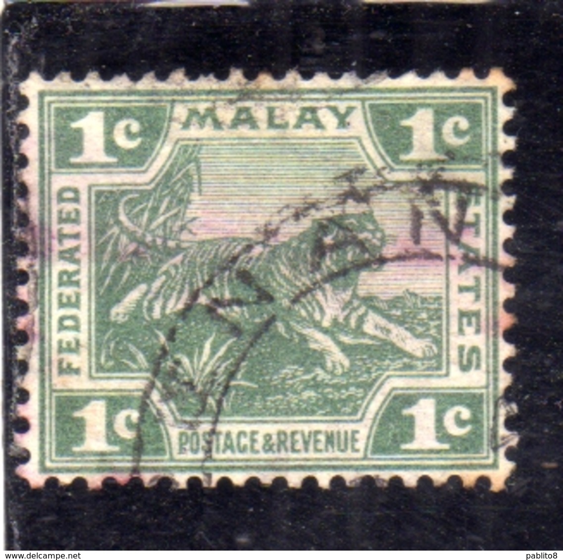 MALAY MALAYA MALAISIE MALESIA FEDERATED STATES 1906 1922 WILD FAUNA TIGER TIGRE CENT. 1c USATO USED OBLITERE' - Federation Of Malaya
