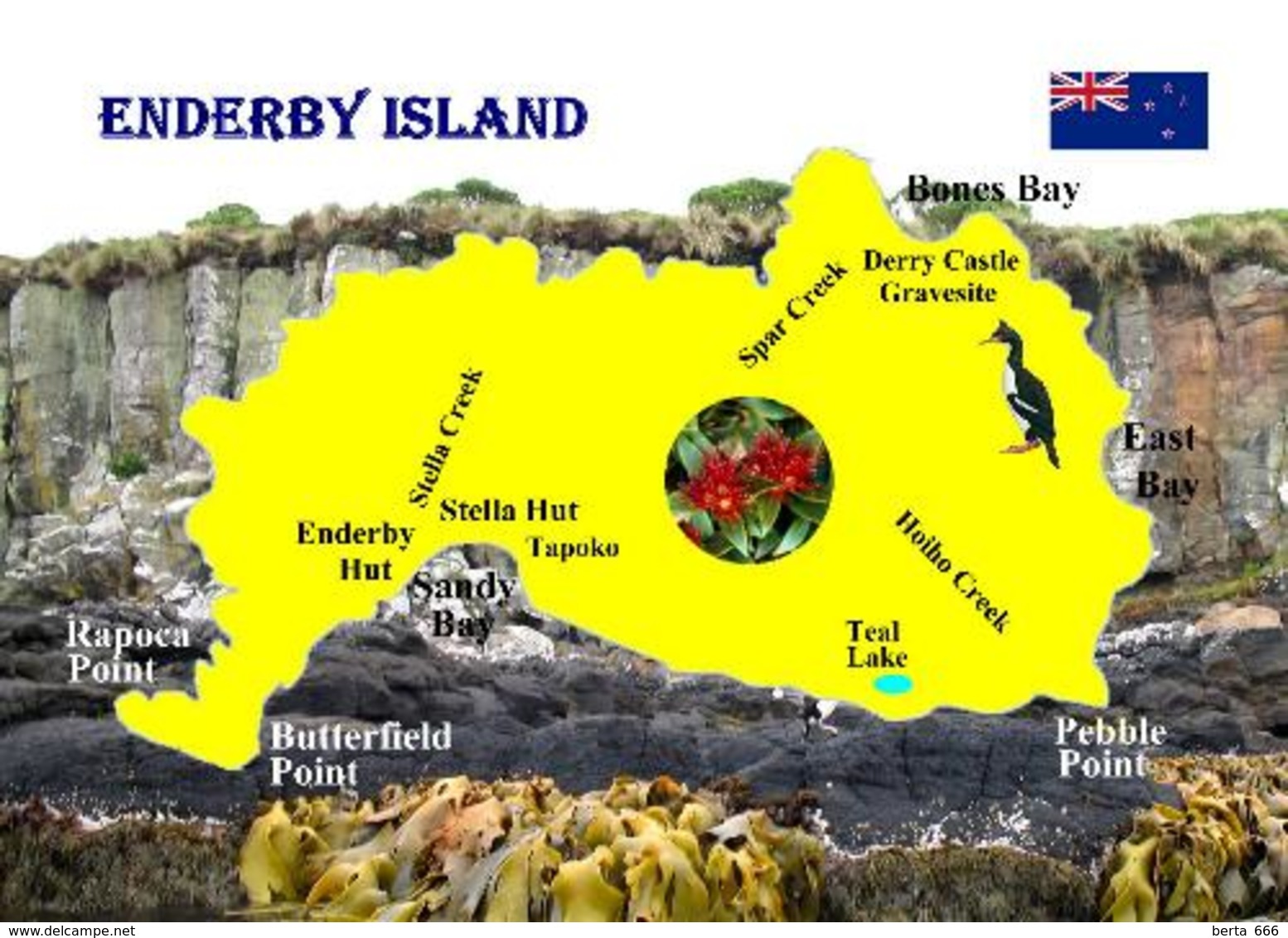 New Zealand Subantarctic Islands UNESCO Enderby Island Map New Postcard Neuseeland AK - Nuova Zelanda