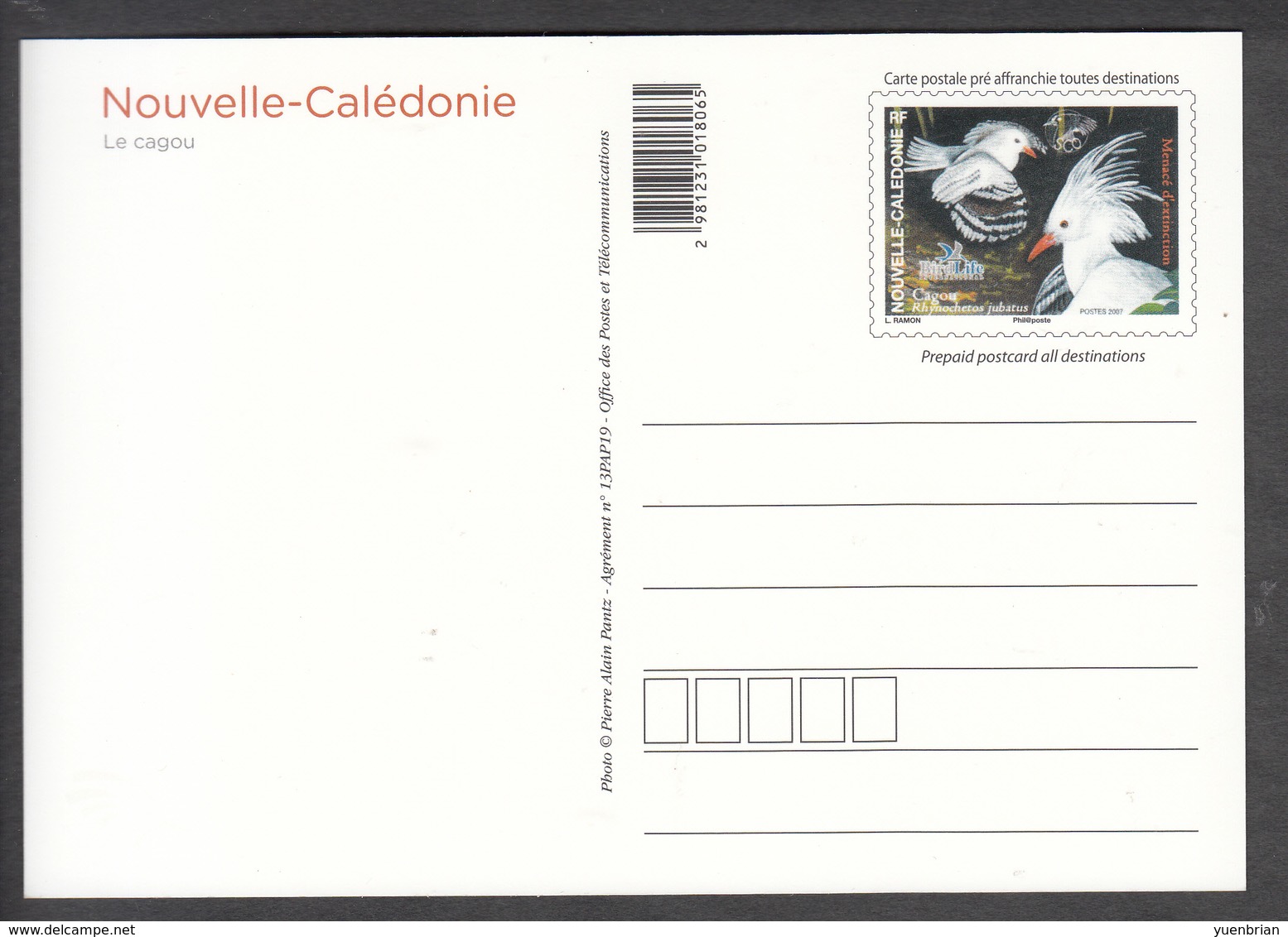 New Caledonia, Postal Stationery, Postal Card, Bird, Birds, MNH** - Sonstige & Ohne Zuordnung
