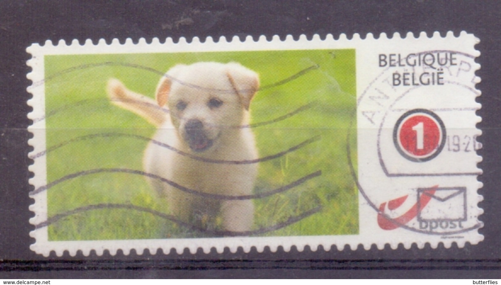 België - Duostamp - Honden - Zonder Papierresten - Afgestempeld