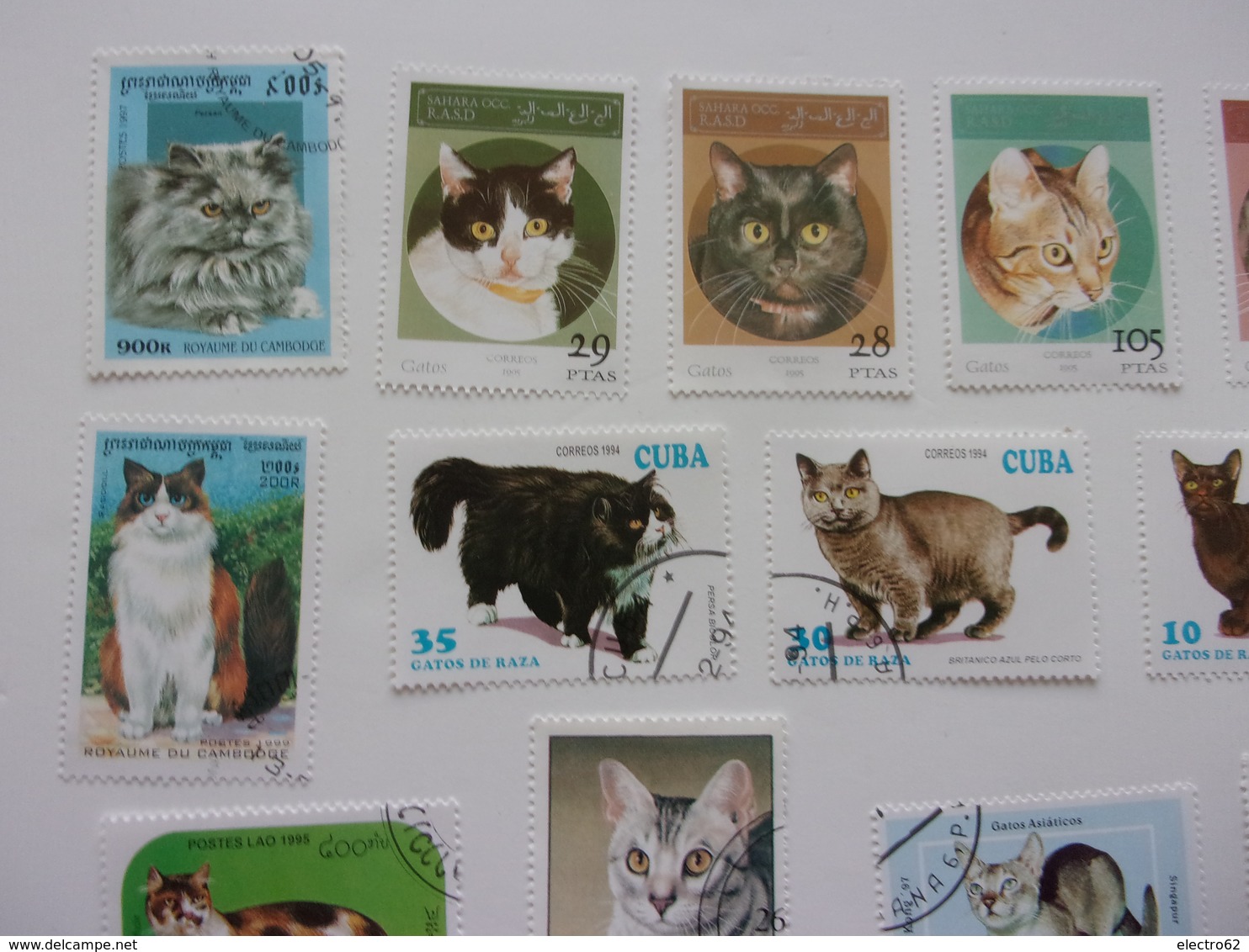 Timbres Chat Cat Gato Katze Gatto Katt Pisica - Chats Domestiques