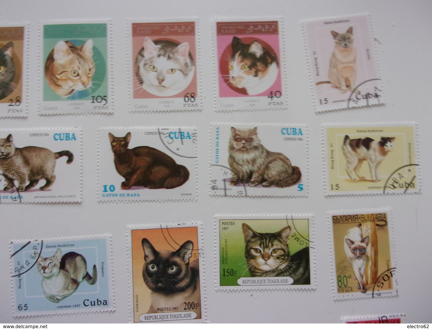 Timbres Chat Cat Gato Katze Gatto Katt Pisica - Chats Domestiques