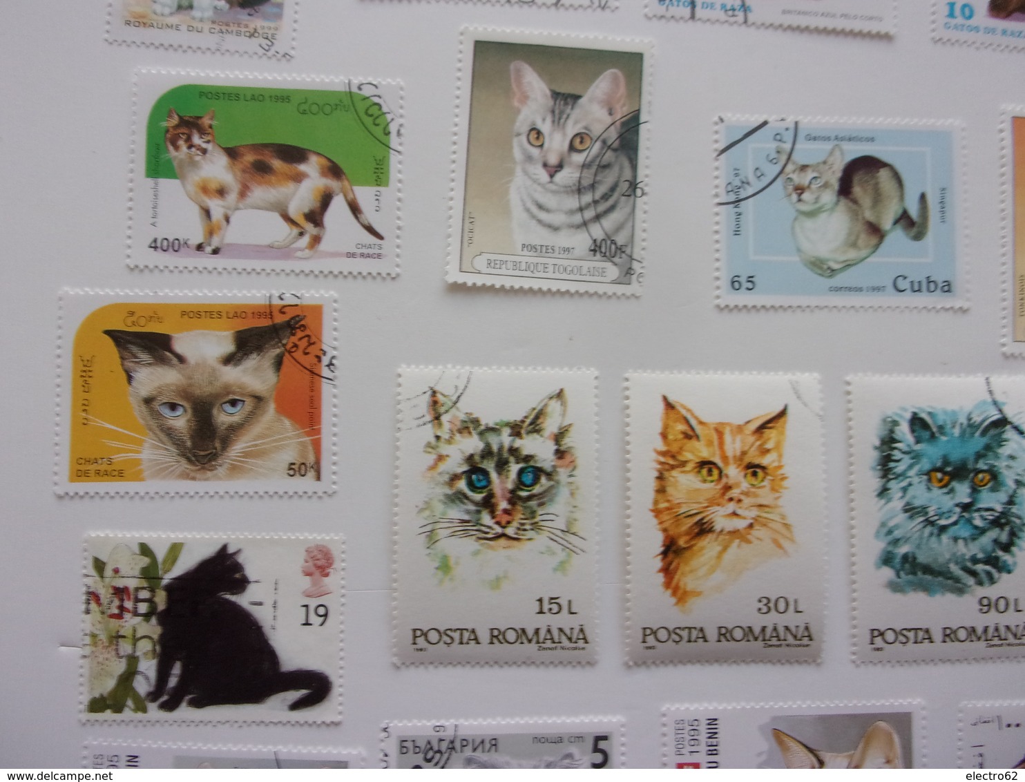 Timbres Chat Cat Gato Katze Gatto Katt Pisica - Chats Domestiques