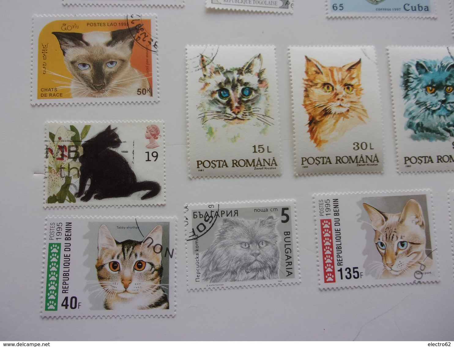 timbres chat cat gato katze gatto katt pisica