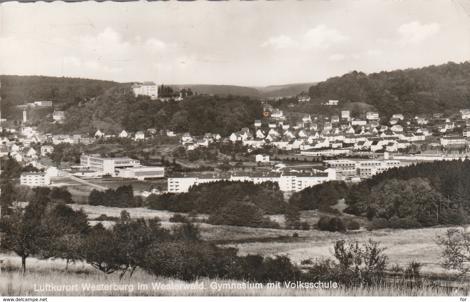 Rhénanie-palatinat : Luftkurort Westerburg Im Westerwald - Gymnasium Mit Volksschule ( C.p.s.m. - Photo Vérit. ) - Westerburg