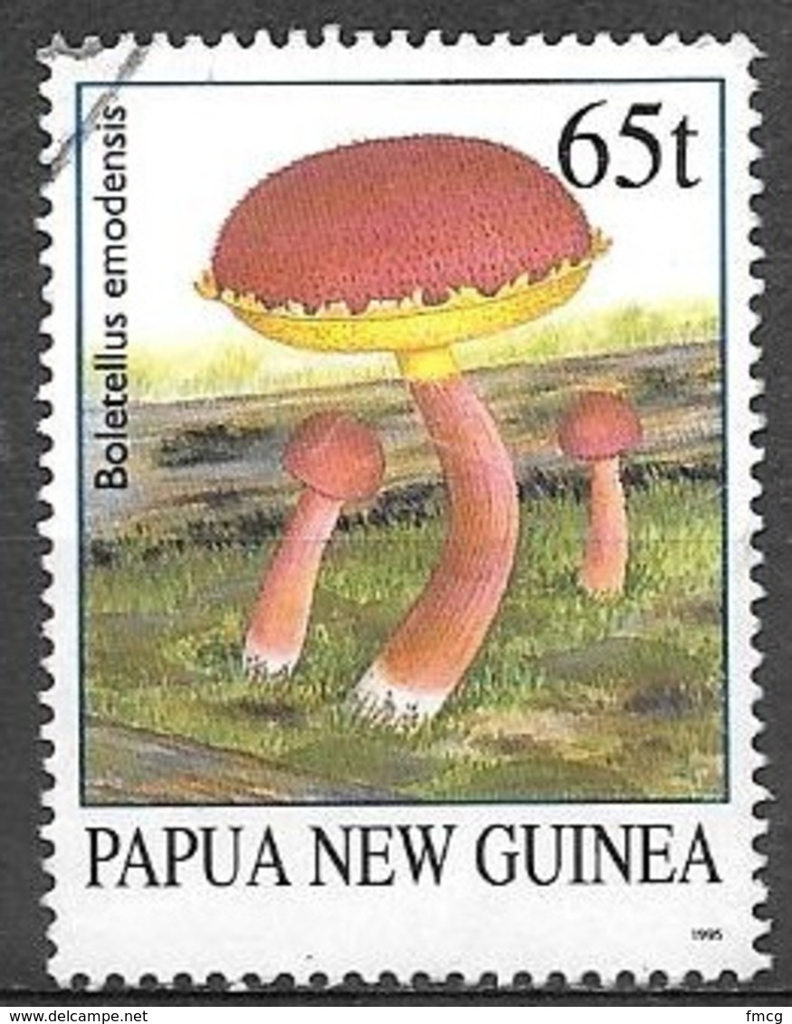 1995 Mushrooms, 65t, Used - Papua New Guinea