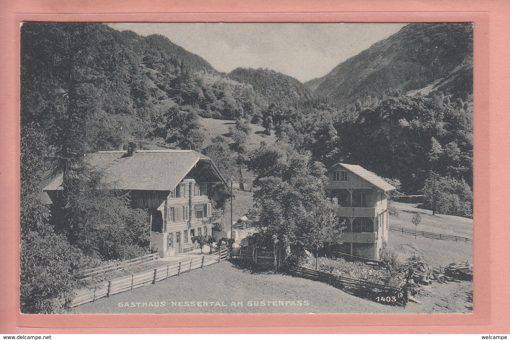 OUDE POSTKAART  - Zwitserland - SCHWEIZ - SUISSE -      GASTHAUS NESSENTAL AM SUSTENPASS - Autres & Non Classés