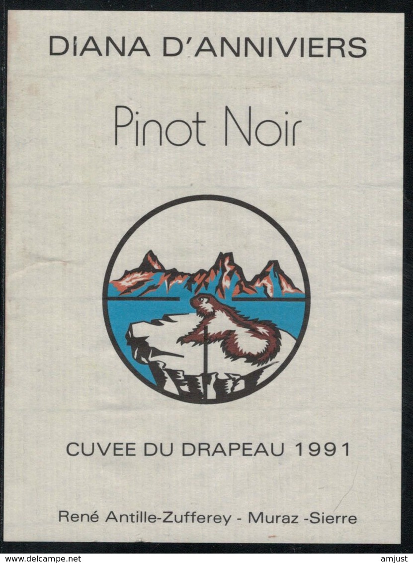 Etiquette De Vin // Pinot Noir, Diana D'Anniviers - Chasse