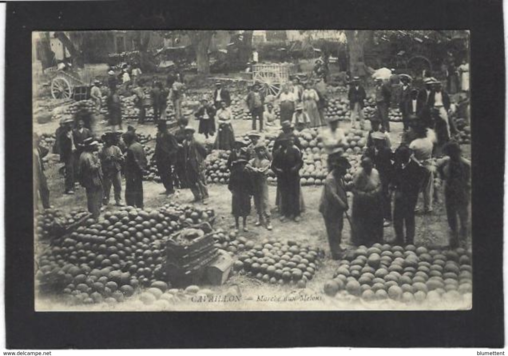 CPA Vaucluse 84 Cavaillon Circulé Marché Market - Cavaillon