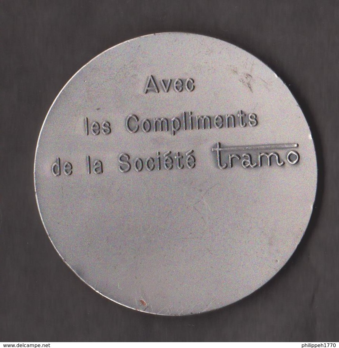 MEDAILLE TRAVAUX PUBLICS ET PARTICULIERS Tramo-LE MEE. - France