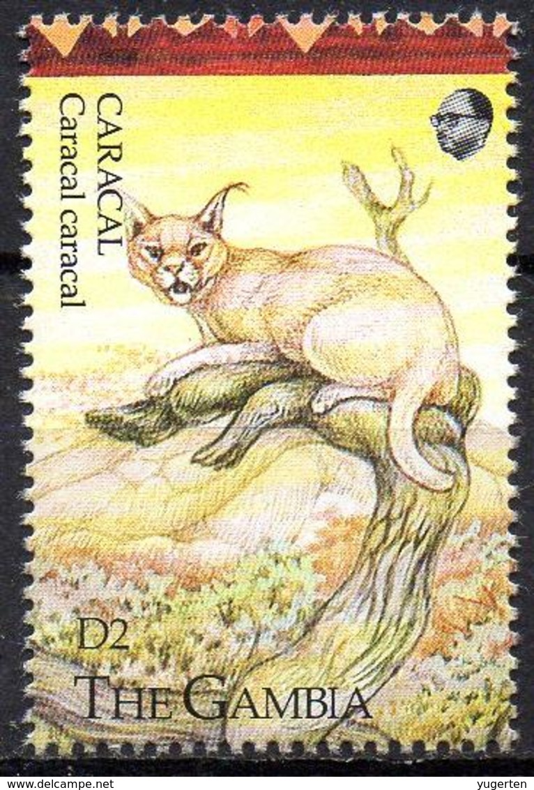 GAMBIA - 1v - MNH - Caracal - Karakal - Lynx - Cat - Cats - Félins - Felinos - Animals - Mammals - Fauna - Big Cats (cats Of Prey)