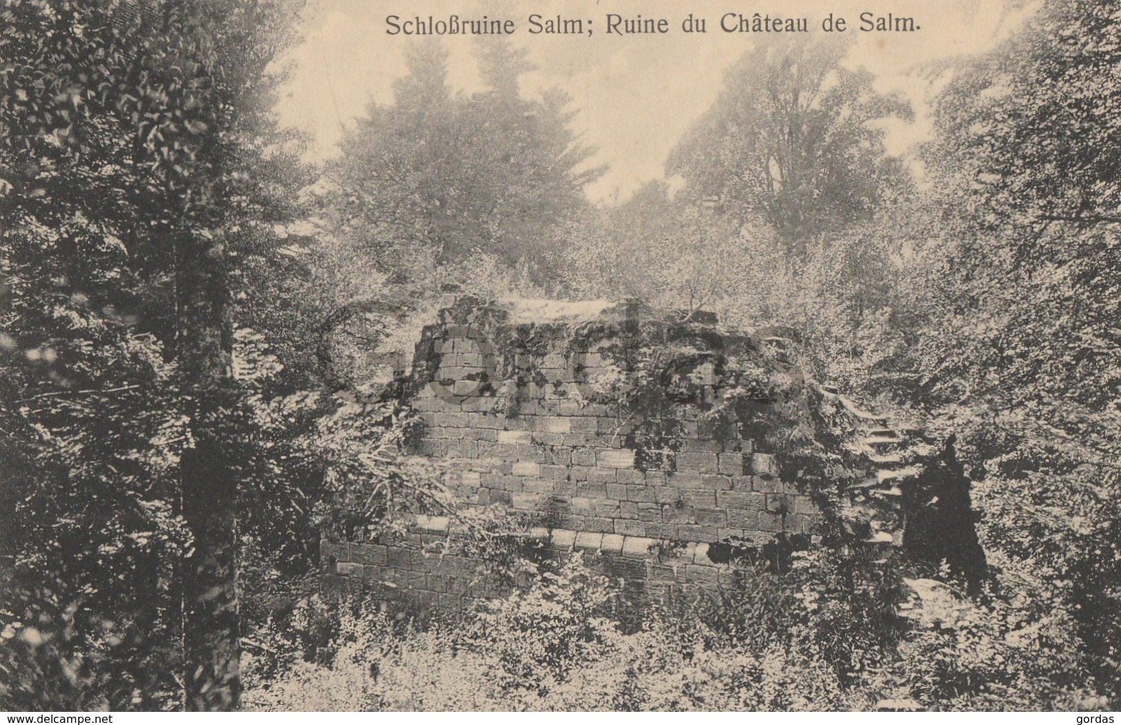 France - Ruine Du Chateau De Salm - La Broque