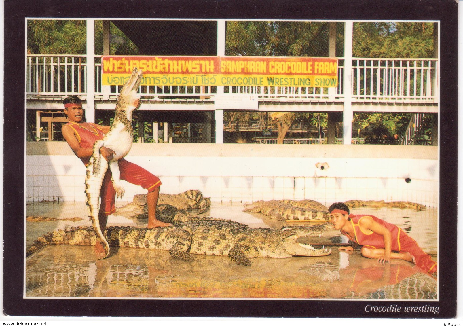 °°° 13427 - THAILAND - CROCODILE WRESTLING SHOW AT SAMPBRAN GROUND AND ZOO - 1994 With Stamps °°° - Tailandia