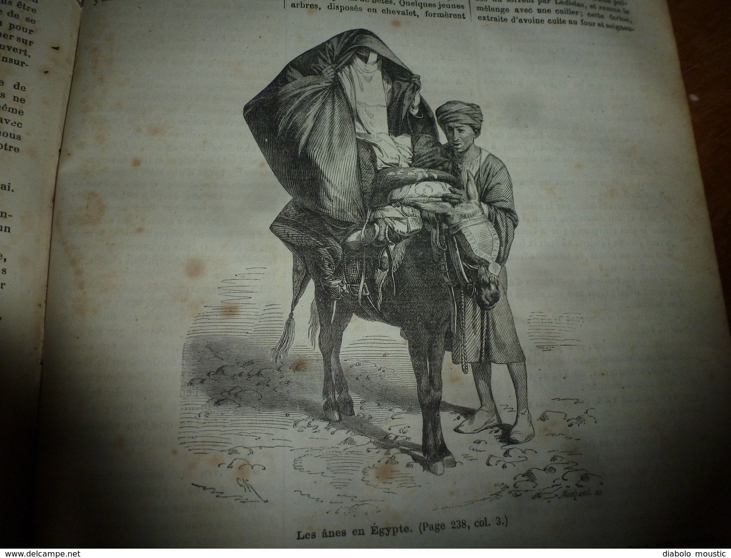 1882 JDV:Naufrage de LA JEANNETTE;Les Régulateurs du banditisme aux USA;Ânes en Egypte;Navire LE TONNERRE;etc