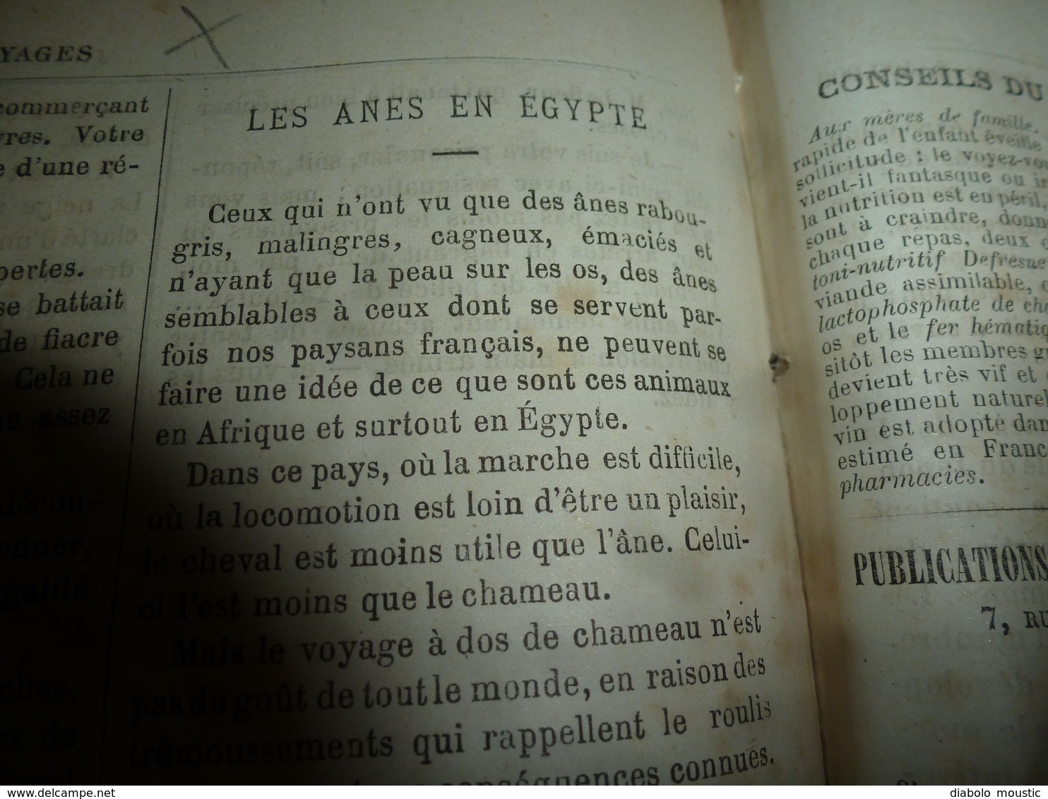 1882 JDV:Naufrage de LA JEANNETTE;Les Régulateurs du banditisme aux USA;Ânes en Egypte;Navire LE TONNERRE;etc