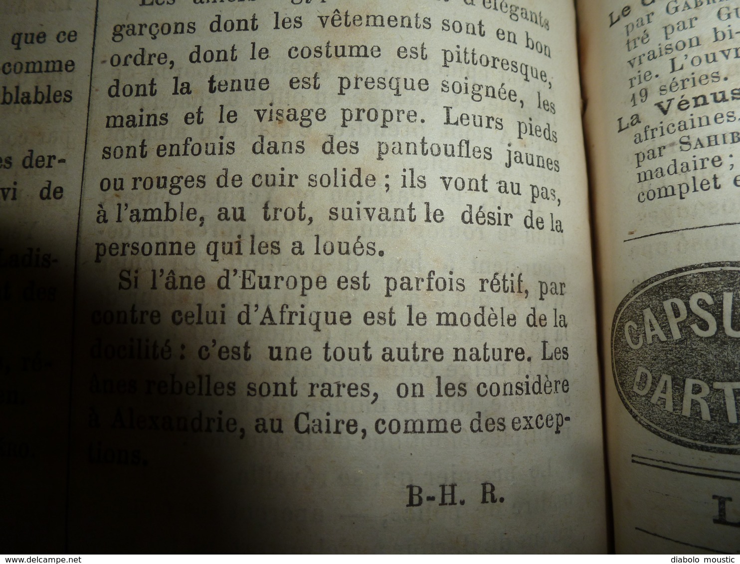 1882 JDV:Naufrage de LA JEANNETTE;Les Régulateurs du banditisme aux USA;Ânes en Egypte;Navire LE TONNERRE;etc