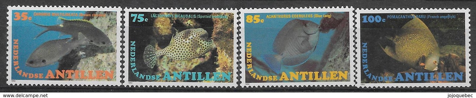 Pays-bas Neufs Sans Charniére, Netherlands Antilles, Mint Never Hinged, Fishes - Indes Néerlandaises