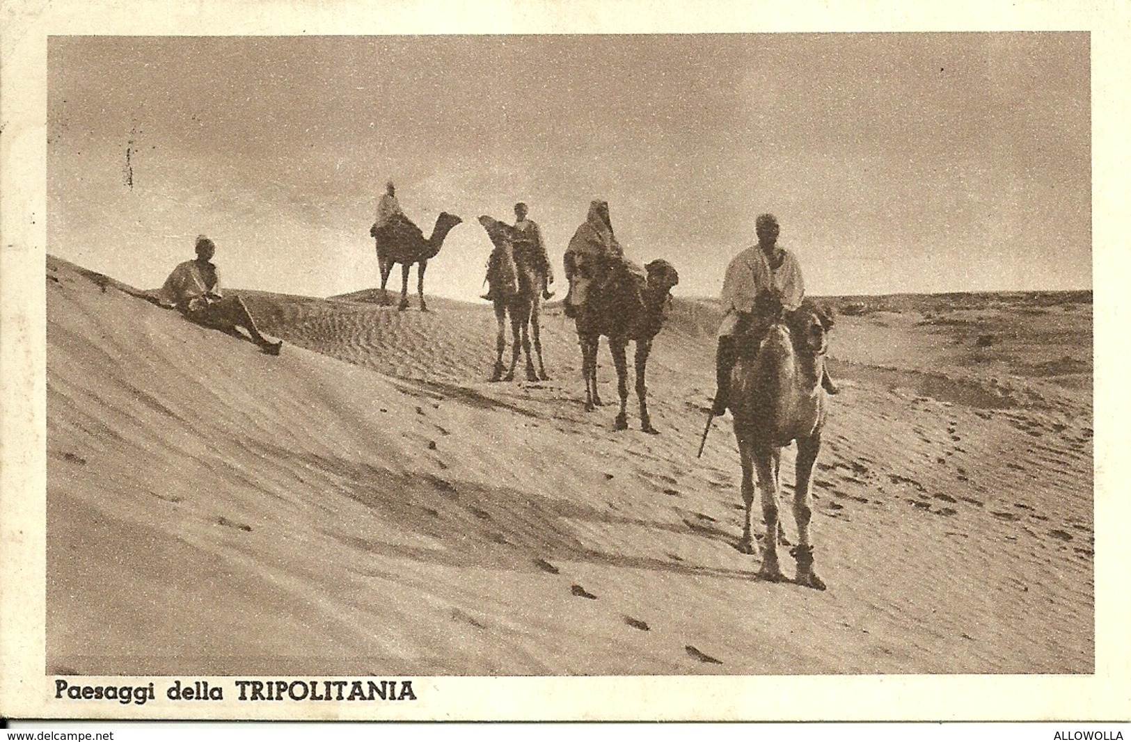 4990" PAESAGGI DELLA TRIPOLITANIA"ANIMATA-CART. POST. ORIG. SPED.1940 MAGAZZINO CENTRALE MILITARE DI TORINO - Libia