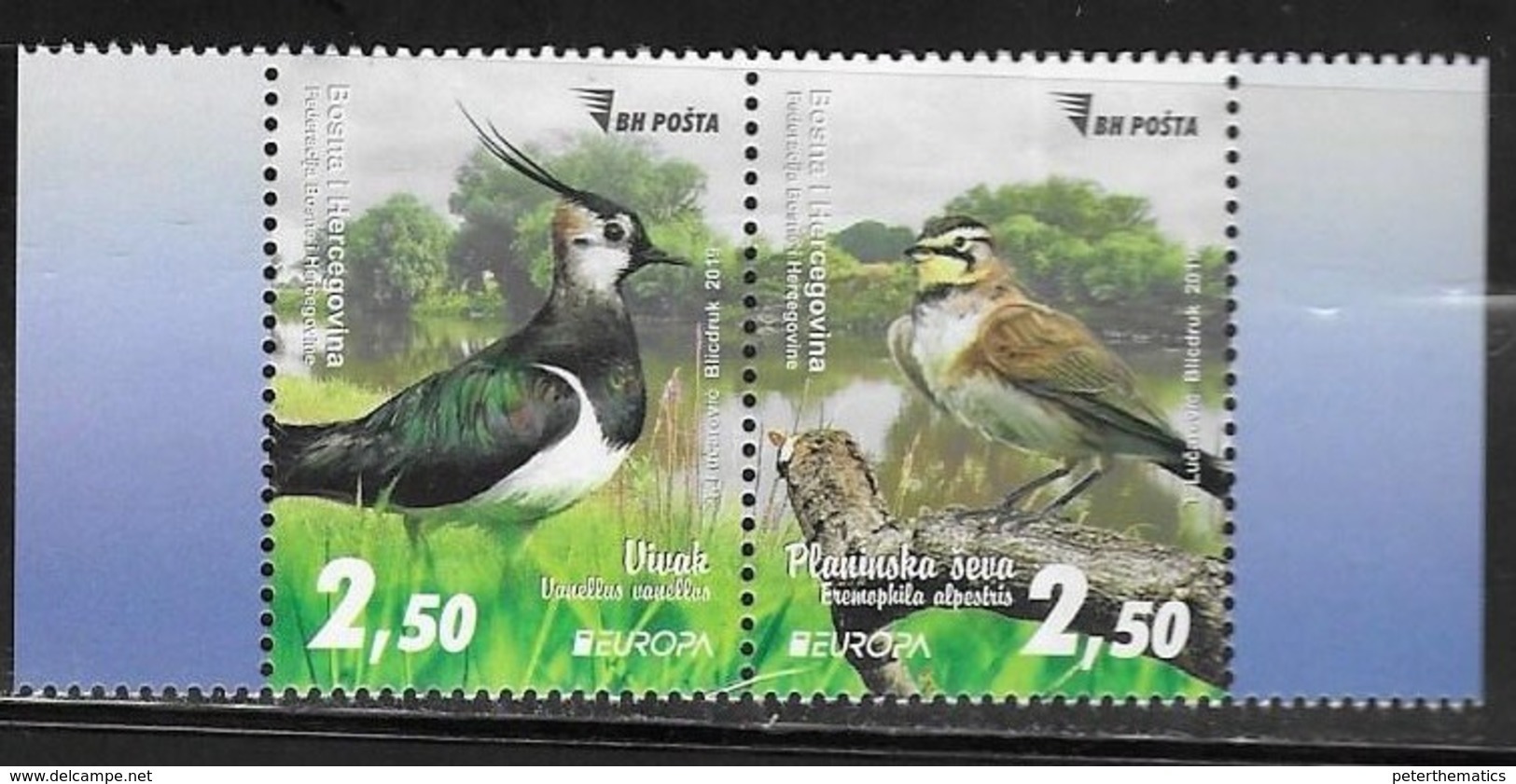 BOSNIA, MUSLIM, 2019, MNH, EUROPA, BIRDS,2v - 2019