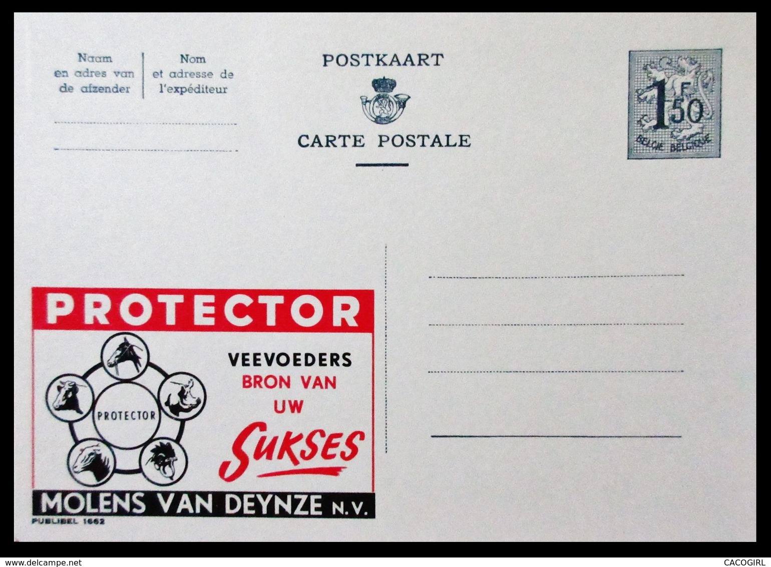 BELGIQUE ENTIER CP PUBLIBEL N° 1662. PROTECTOR VEEVOEDERS BRON VAN UW SUKSES . MOLENS VAN DEYNZE . NEUF - Publibels