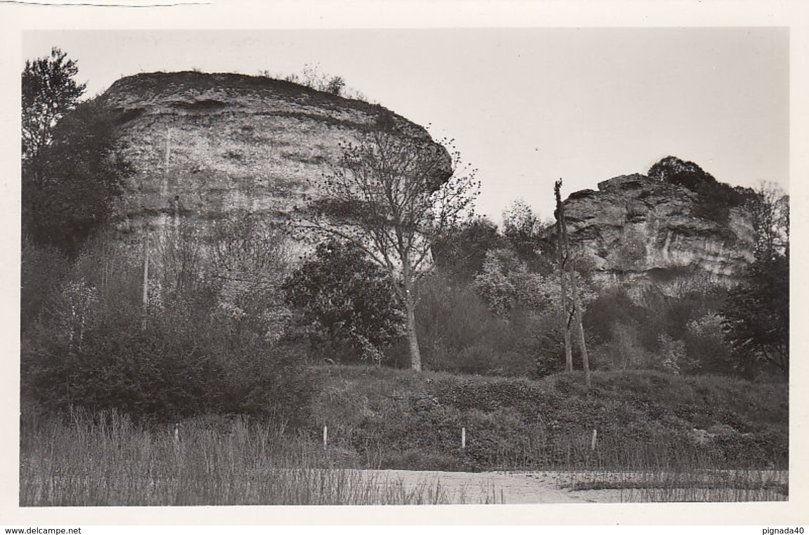 Cp , 55 , SAINT-MIHIEL , Les Roches Ou Dames De La Meuse - Saint Mihiel