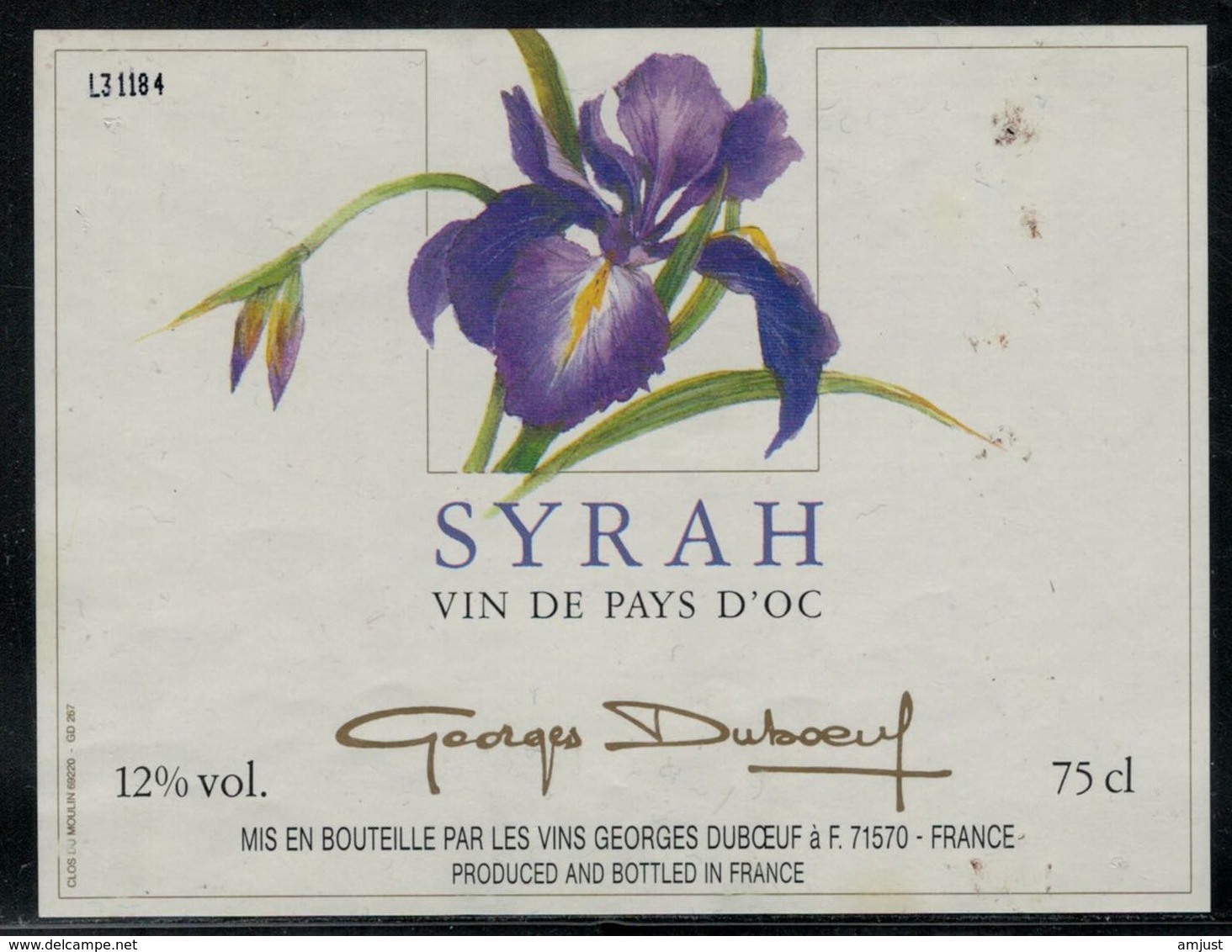Etiquette De Vin // Syrah Du Pays D'OC - Fleurs