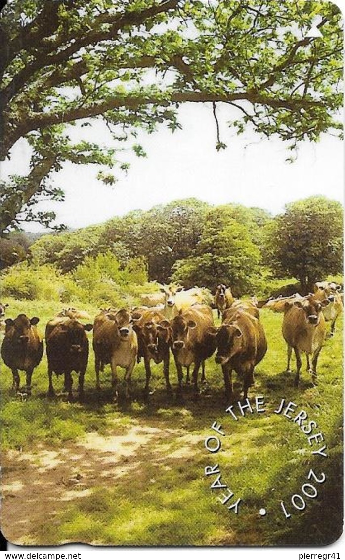 CARTE-MAGNETIQUE-JERSEY-2001-TROUPEAU De VACHES-TBE - Mucche