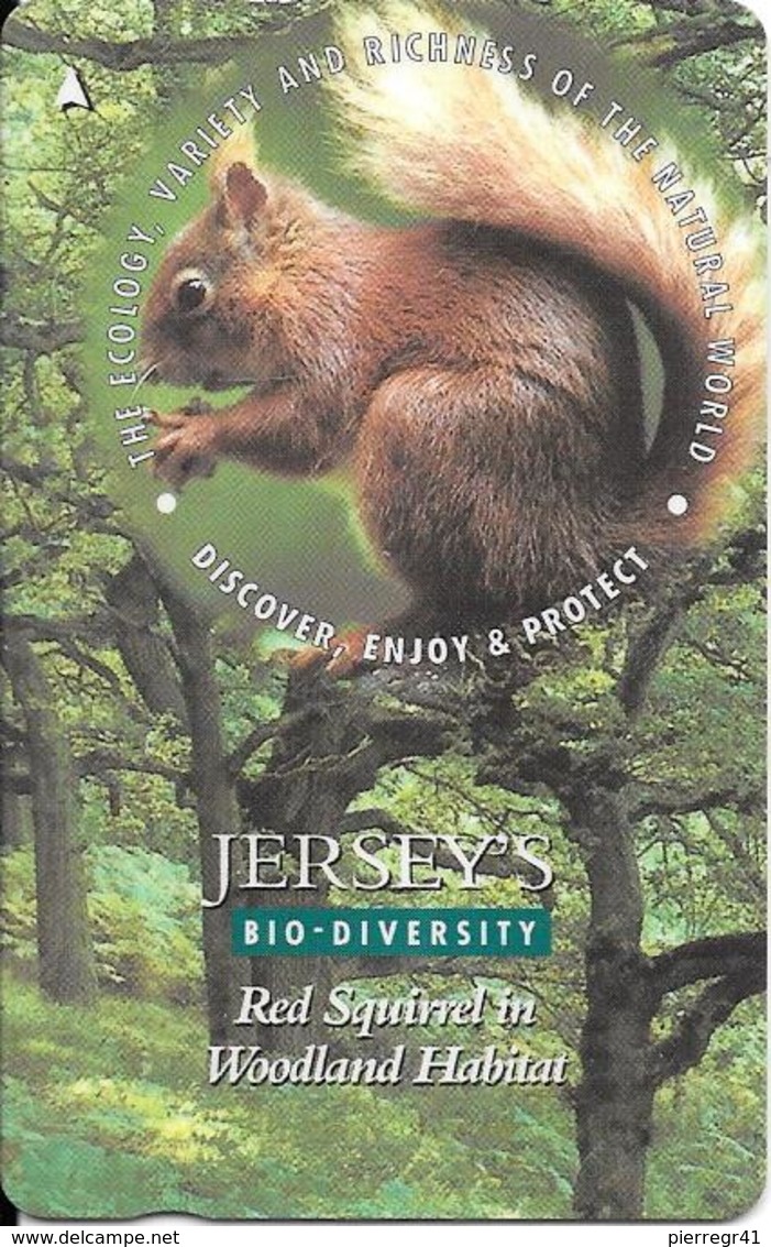 CARTE-MAGNETIQUE-JERSEY--2£-ECUREUIL-RED SQUIRREL-TBE - Autres & Non Classés